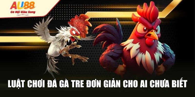Luật chơi đá gà tre đơn giản cho ai chưa biết