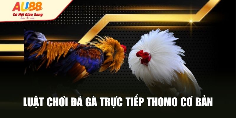 Luật chơi đá gà trực tiếp Thomo cơ bản