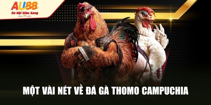 Một vài nét về đá gà Thomo Campuchia